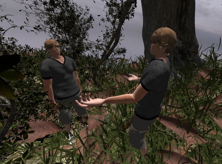 Two NPCs talking to each other in the 3D scene with trees and grass
